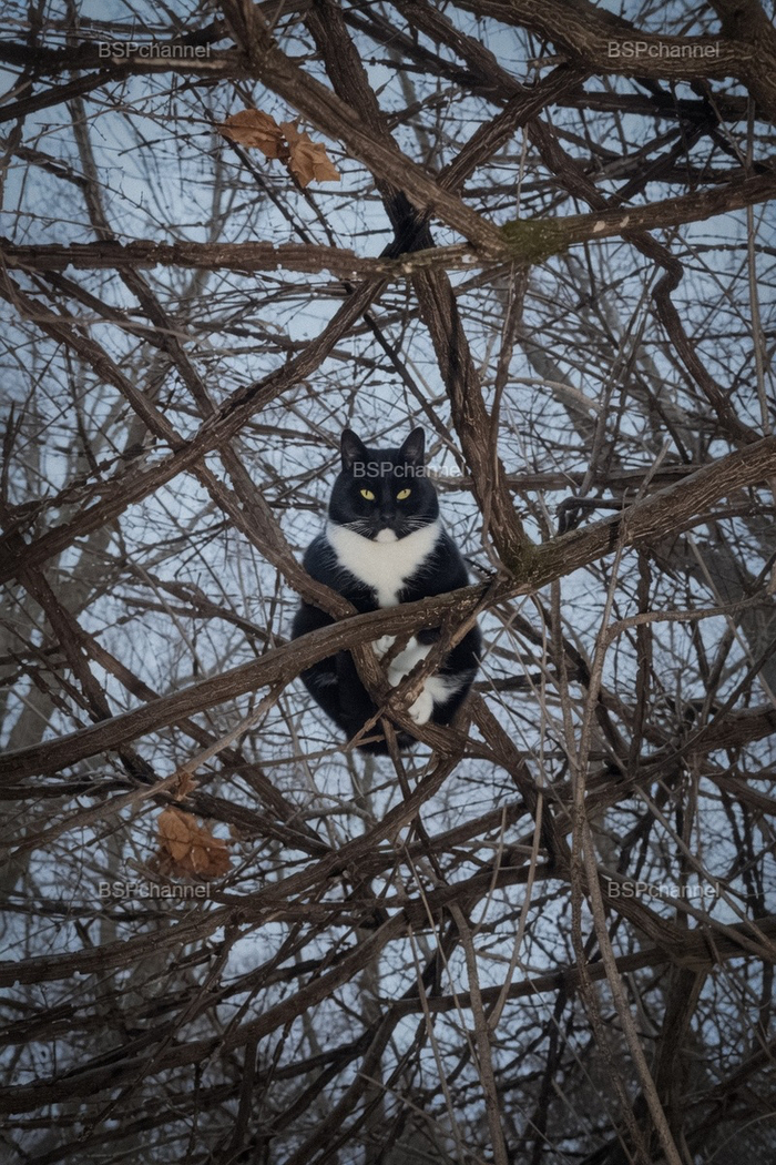Фотограф: Ли Фридлендер