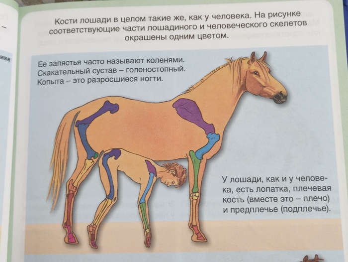 Наглядно и познавательно