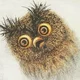 Аватар пользователя user12175293