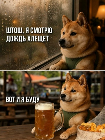��� �������