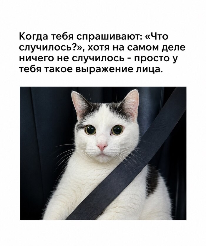 Суровый взгляд