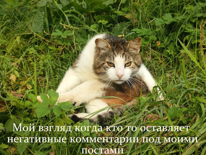 ������ ������� � ���������� ����������...��������� :3
