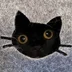 user4839