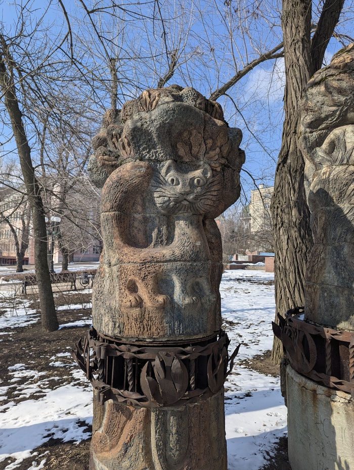 Просто донецкий кот