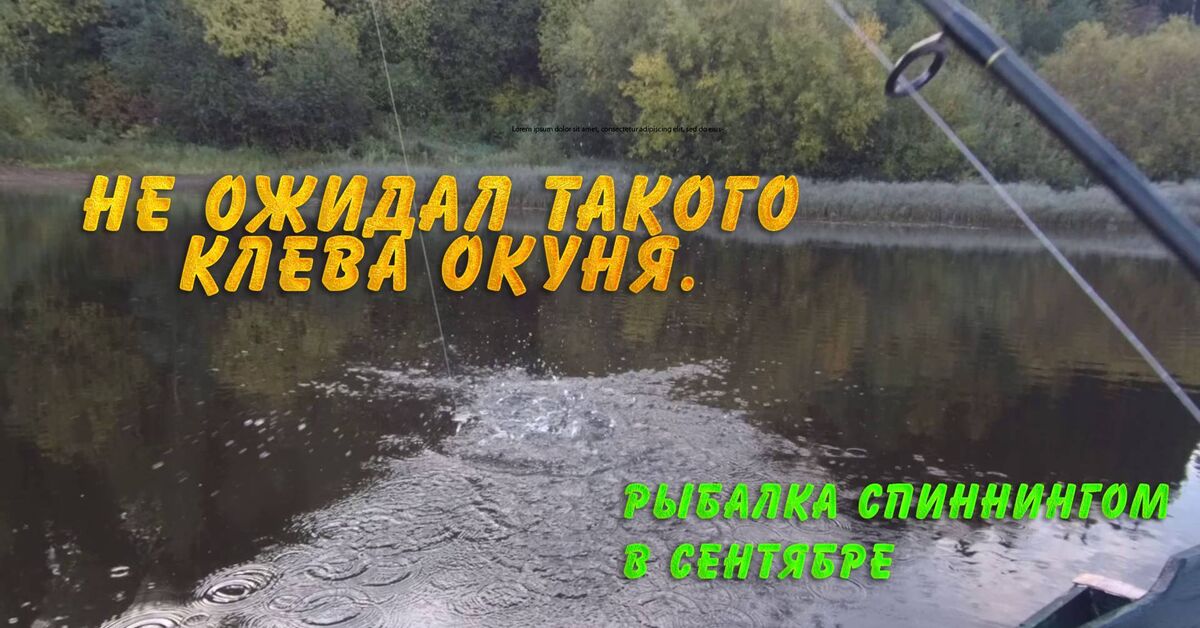 Post #14348727 - My, Camping, River, A fish, Fishing, Rutube, Video