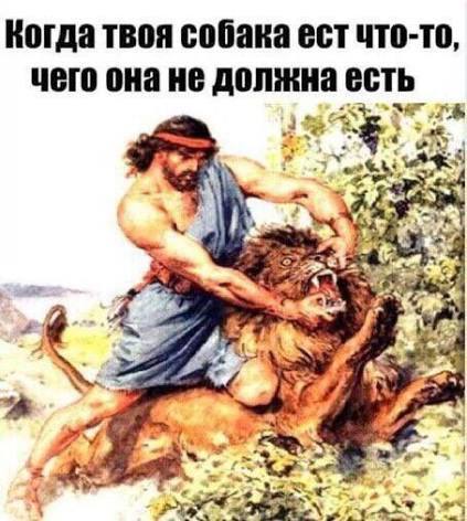 �����������: