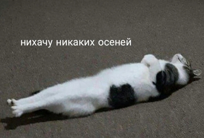 Вот и осень пришла