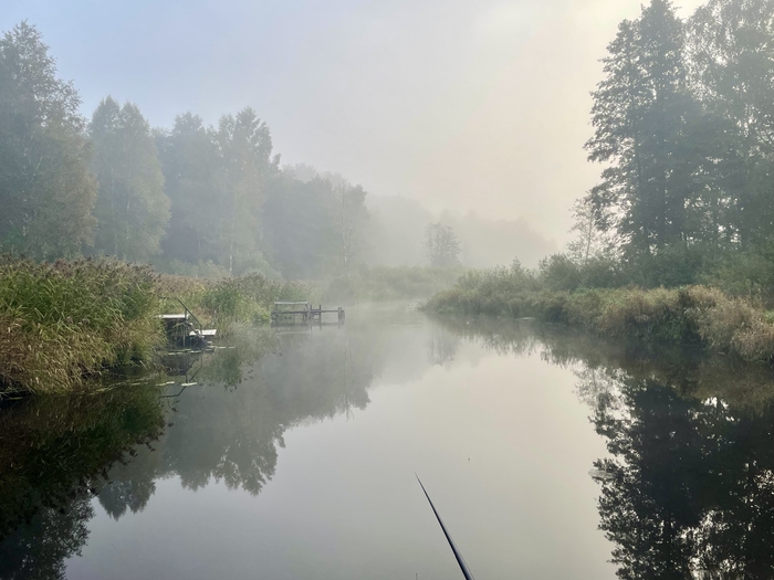 Сегодня туманно