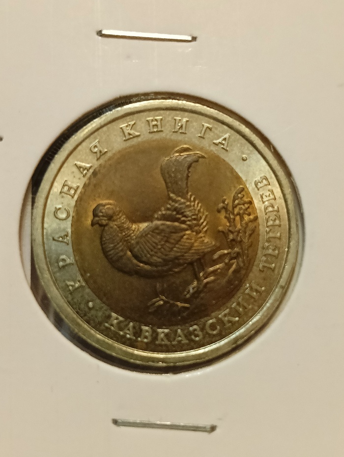 50 ������ 1993, ������� ����� - ���������� �������
