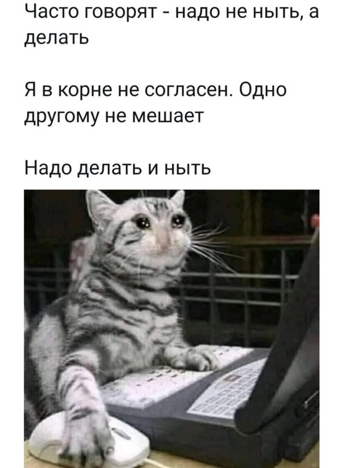 ��������� � ����� �������