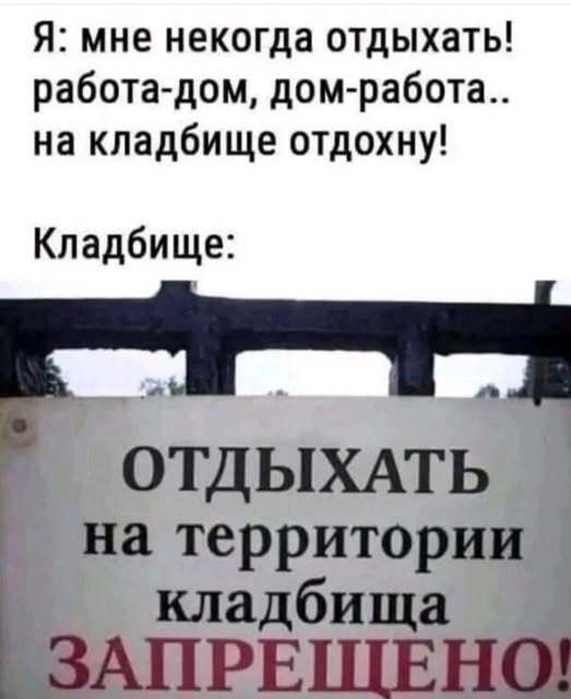 Юмор