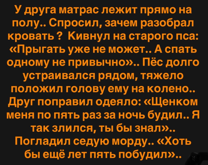������ ����...