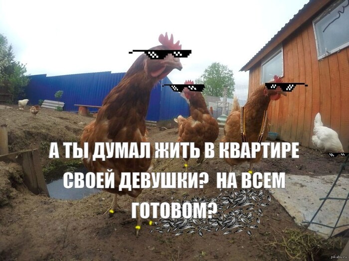 ����� �� ���� ��������������)))�