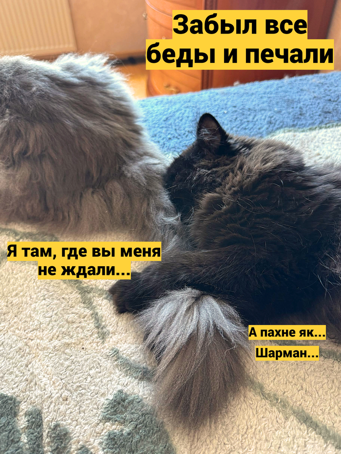 � ����� ��...������...