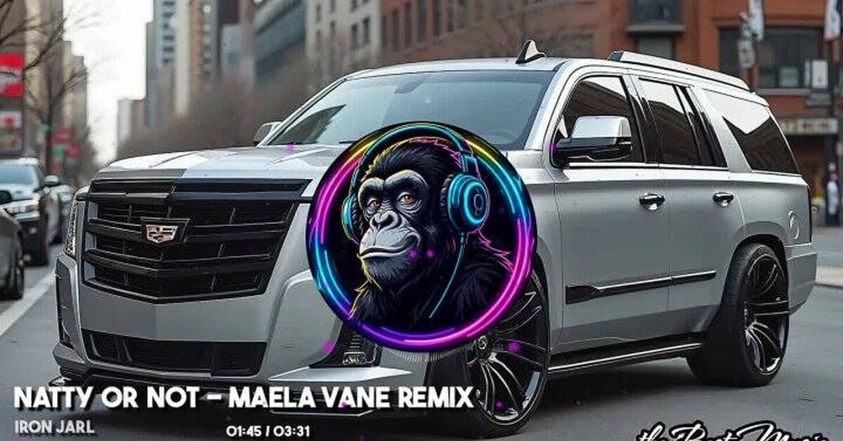 Natty or Not (Maela Vane Remix) - Iron Jarl - Серия DANCE MONKEY, Музыка, Хиты, Новинки, Ищу музыку, Видео, Видео вк