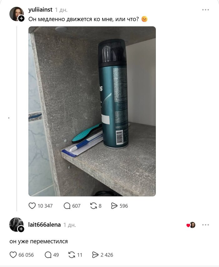 ����������� ����� ��������� ���� �� ������� ������ ������ ���