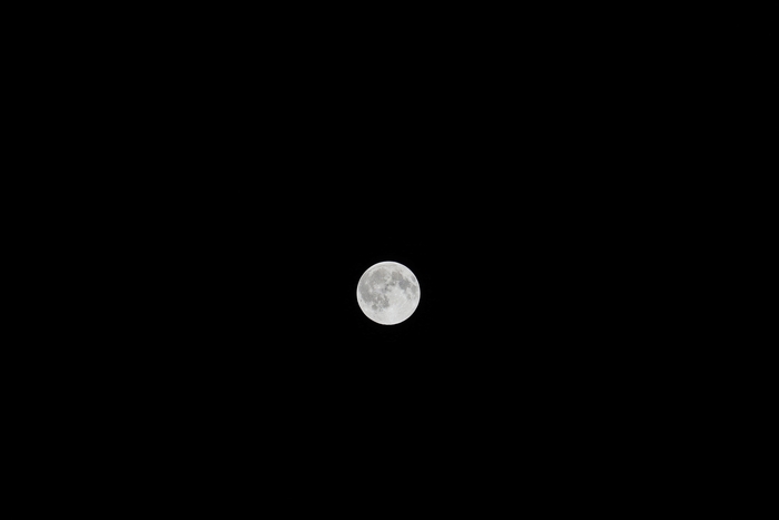 Canon m50 mark 2 200mm ���� 1.6 6000x4000 f8 iso200 1/500s