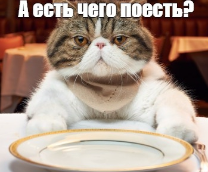 ���������� �6
