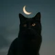Аватар пользователя Wellcat
