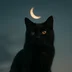 Wellcat