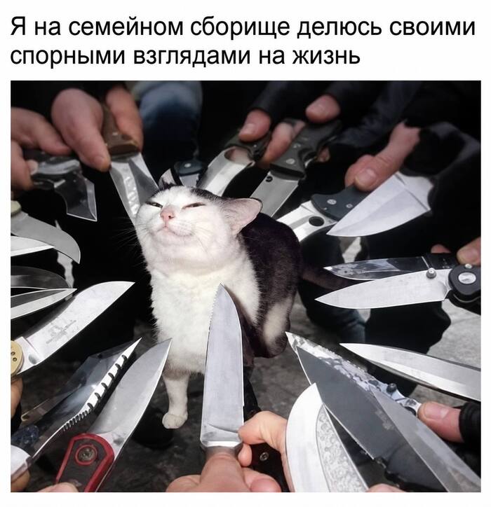 Камикадзе
