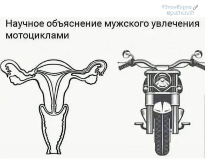 ��� ����� ����,������� � ���� � ����