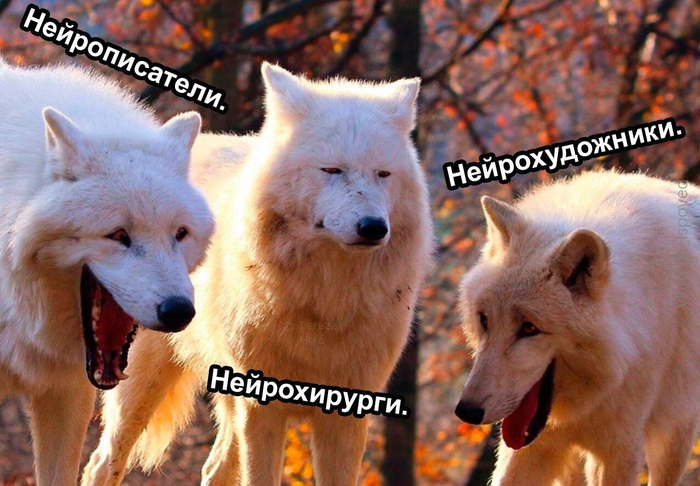 �����