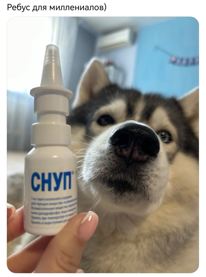 �����