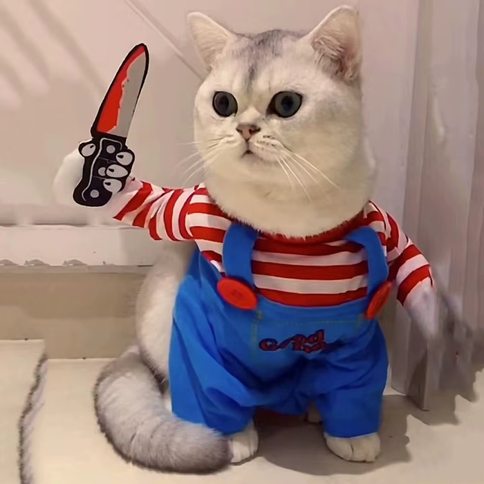 ��� � ���� ������ ���� � 3 ���� ����