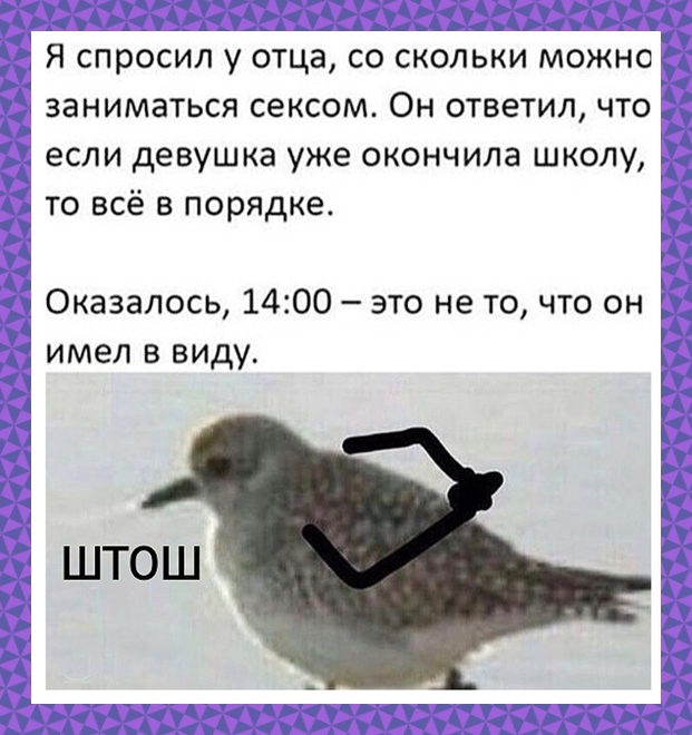 lkmpahbr.jpg