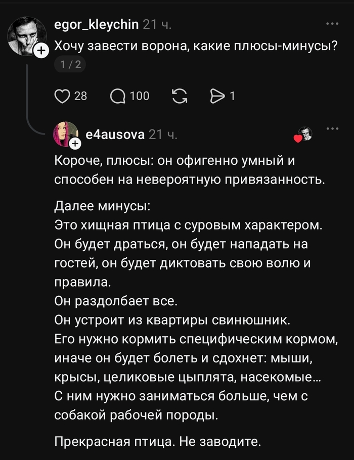 Спасибо, но нет