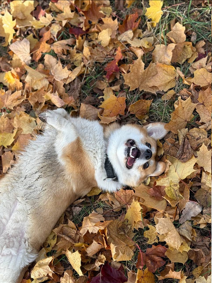 �������� ����� �����...