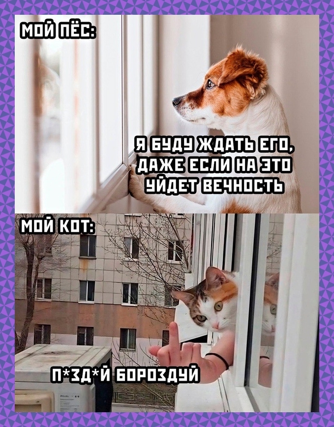 qy7pbajj.jpg