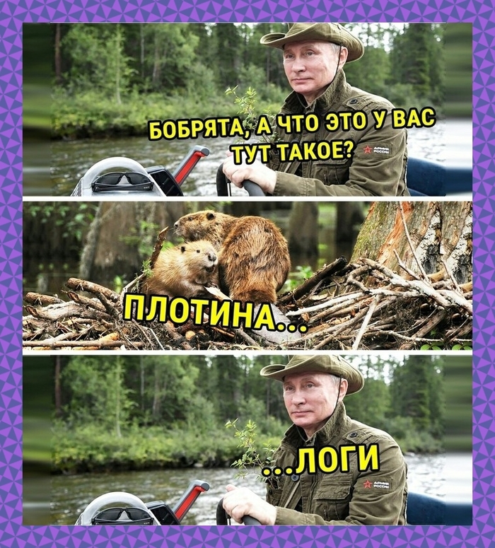ra7pan4s.jpg