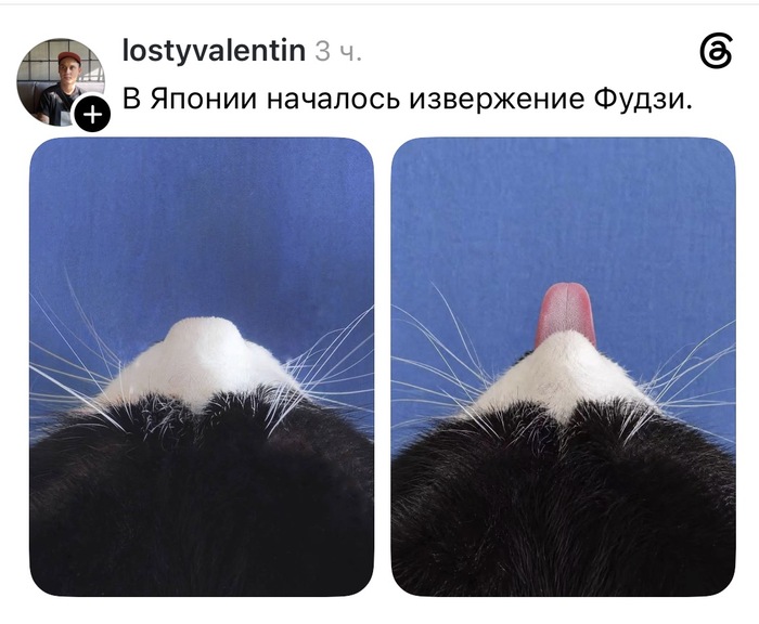 ������