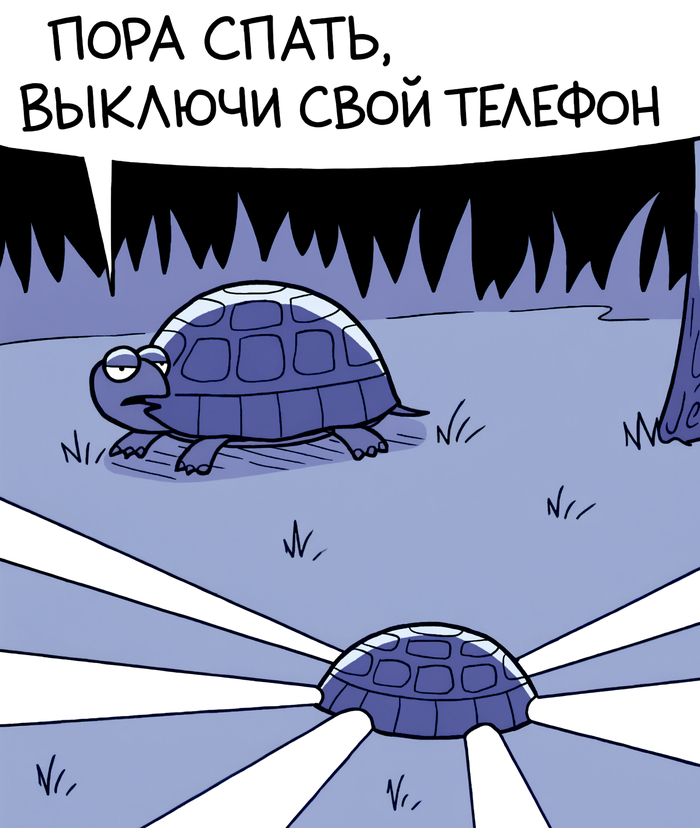 ������� ����