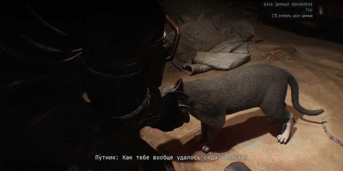 - Гус