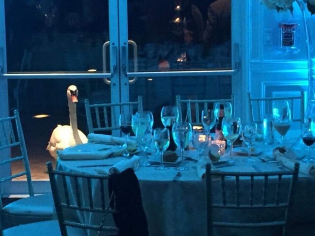 ����� ��� �� �������, � ���� ������ �� ���������� �������� �� ���� ����� ������ ���� �����