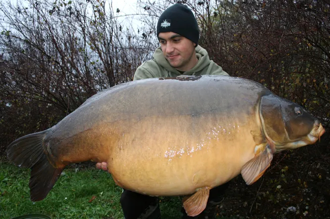 �� �������� ���� ������ ������� ������ ��������� ��� �����.