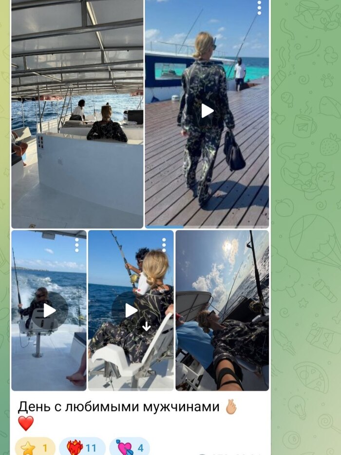 Скриншот из официального аккаунт Telegram Юлии Власовой, подтверждающее отношения с чешским бизнесменом Виктором Фишером.