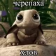 ������ ������������ Karreco