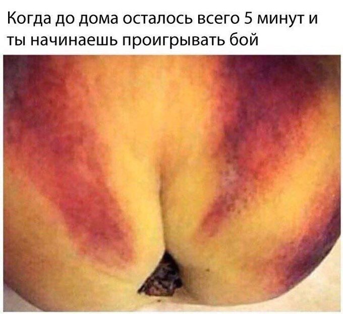Луговая собачка показала мордочку из норки