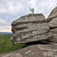 ����� ����� ������ ���� �����������