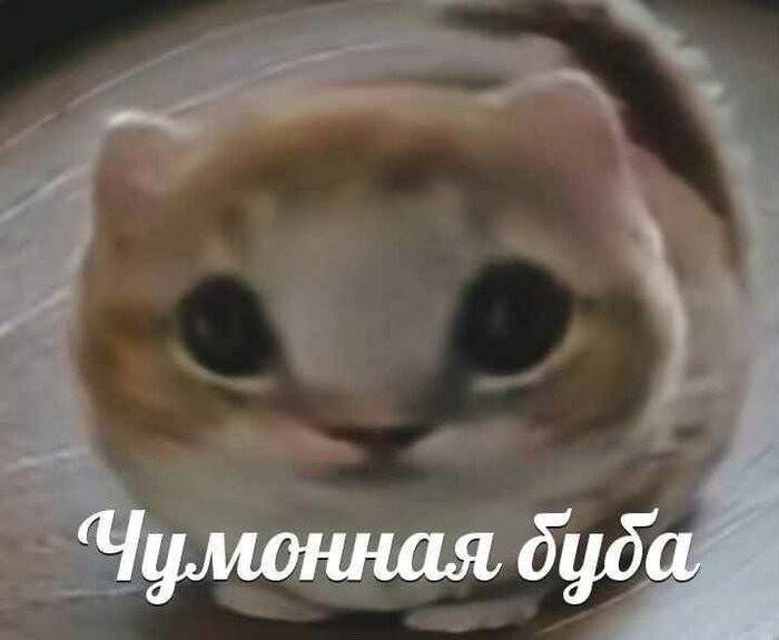 ������� � �������, � ���