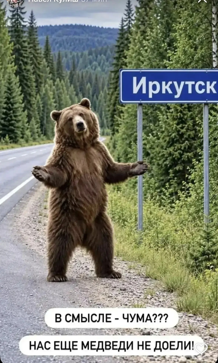 Ответ на пост «Чума в Иркутске. Паника впереди здравого смысла»
