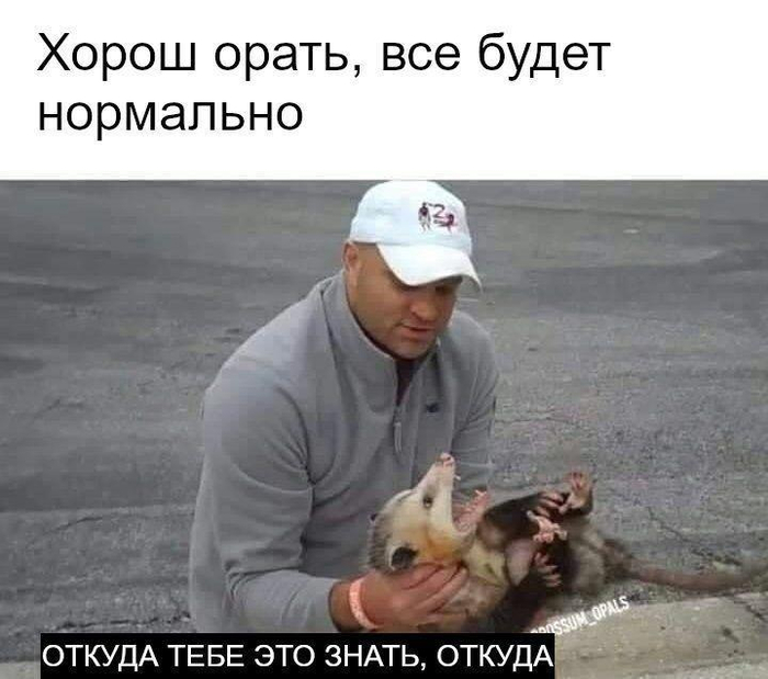 �� ���
