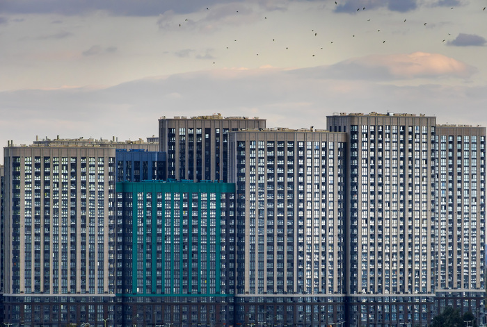 Canon R10, Sigma 18-300, 300��
