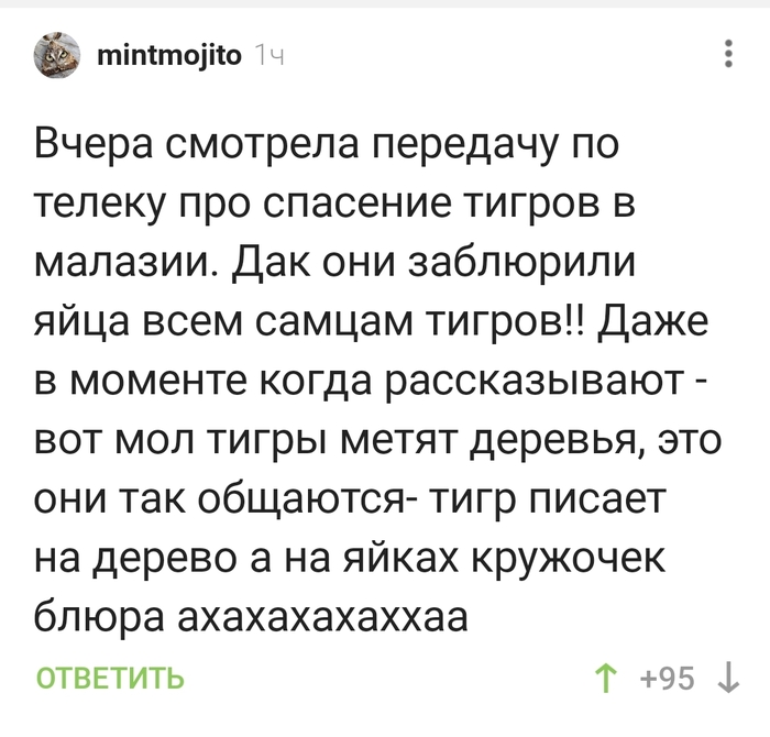 ������ �������