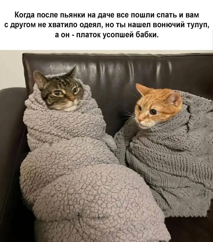 � ������� ������� ��� ������