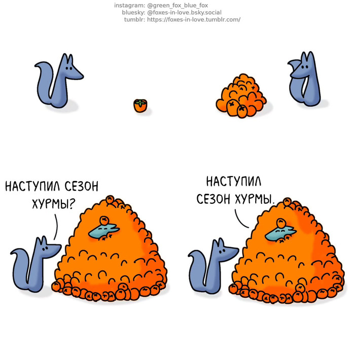 Хурмы много не бывает